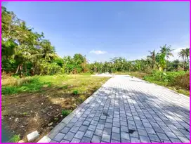 Dekat Bandara YIA , Tanah Murah di Tawangsari Kulon Progo
