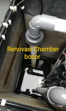 Jasa renovasi kolam ikan koi