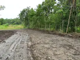 Dekat Pintu Tol Sentolo Tanah Dijual Jogja Kulon Progo Untuk Investasi