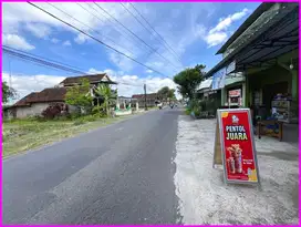 10 Menit Candi Prambanan! Tanah di Jl. Raya Berbah Mangku Jalan Aspal