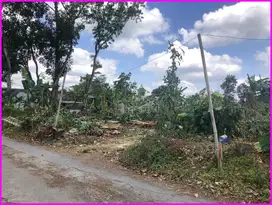 900 Meter SD-SMP Islam Al-Azhar Cairo, Tanah di Pandanaran Untuk Kost