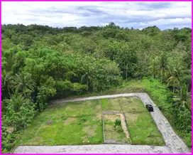 Giri Peni Wates, Dijual Tanah Jogja Untuk Rumah Dekat Bandara YIA