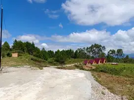 Tana Homestey , tanah murah