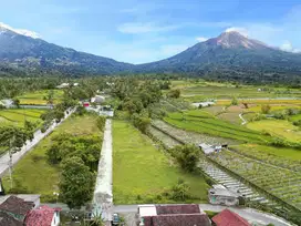 Dekat Candi Borobudur,Lokasi Tanah TERBAIK di Magelang