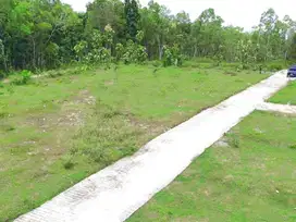 Jl. Gotakan Kulon Progo, Dijual Tanah  Yogyakarta Dekat UNY Wates