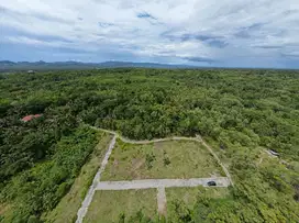 BIKIN Rumah di Jogja, Tanah Dekat Bandara YIA, LUAS