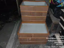 Kotak Ulat Jerman