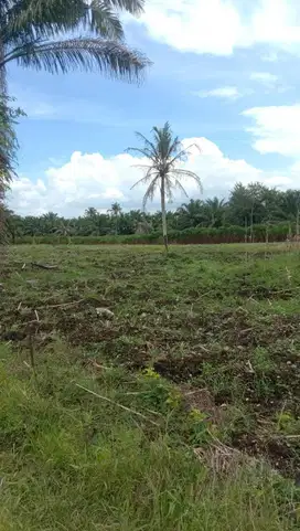 Dijual tanah Mencirim Medan 500 meter ke dalam
