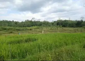 Tanah murah ada mata air