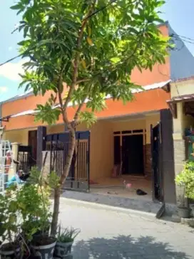 DIJUAL RUMAH INDUK DAN KOS-KOSAN LOKASI KANDANGAN SURABAYA BARAT