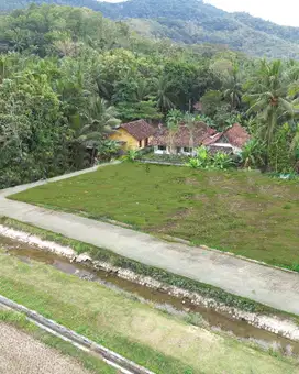 Iklan Tanah Kulon Progo Dekat Balai Desa Hargorejo  1 Juta Nego