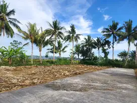 Tanah Dijual Dekat Jl. Nasional Wates – Jogja Dekat Kampus UAD 4	Spes