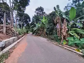 Tanah Murah Gunungpati Dekat Kampus Unwahas Cocok Untuk Kos Kosan