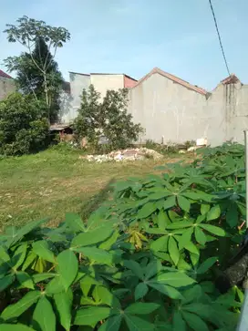 Dijual tanah strategis kota Depok