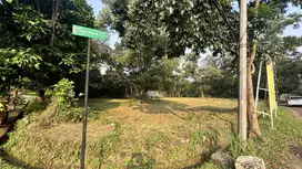 Ignore this property