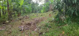 Jual tanah murah di tanjungrasa jonggol bogor