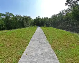 Tanah  Murah Dekat Samsat Kulon Progo Kalikepek Terbaru