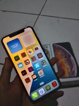 iPhone xs max 256gb