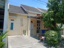 Gading Intan Blok B1 No 53 Driyorejo Gresik