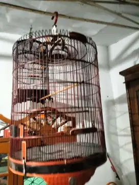 Kandang Murai NO 1