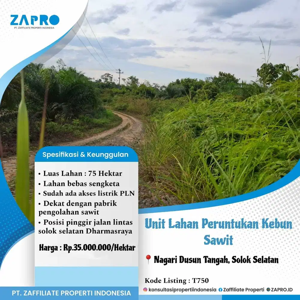 Jual lahan peruntukan kebun sawit di solok selatan