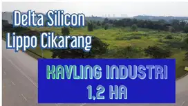 Kavling Industri Delta Silicon 8