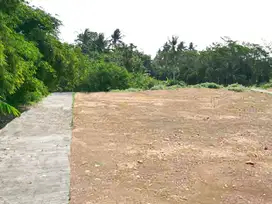 Tanah Ngombol Purworejo Dekat Pantai Jati Malang