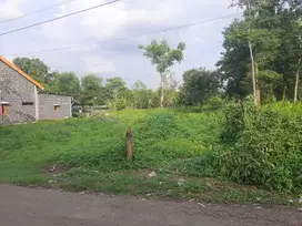 Dijual tanah pekarangan.  Ds Purworejo Kec Pungging Mjk dekat eLKISI