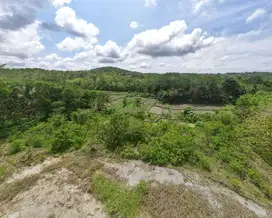 Tanah Jogja murah Dekat UMY 1 Juta Nego
