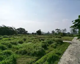 Tanah Ngombol Purworejo Dekat Pantai Glagah 100 Jutaan