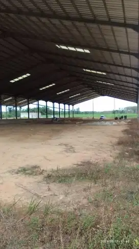Pabrik Tapioka 9,8 Ha Tulang bawang Lampung Murah