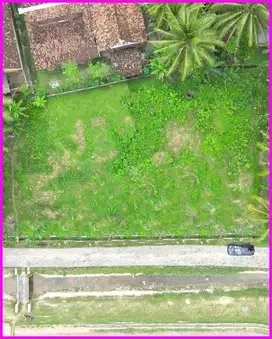 Temon Kulon Progo, Tanah Dekat Pantai Glagah Untuk Villa
