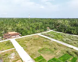 Tanah Kumpulsari Purworejo Dekat Pantai Jati Malang