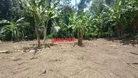 INVESTASI TANAH SHM MURAH, KEDUNGSARI, PURWOREJO