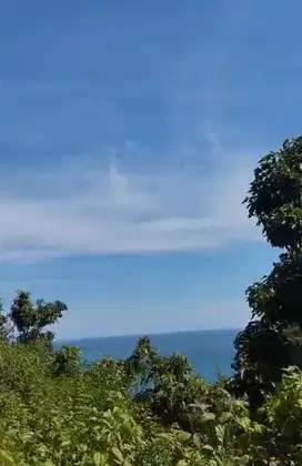 Tanah view pantai barat pantai Sadeng Gunungkidul