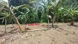 INVESTASI TANAH SHM MURAH, KEDUNGSARI, PURWOREJO