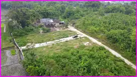 Bantul, Tanah Jogja Sertifikat SHM Dekat Desa Wisata Kasongan