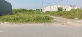 Tanah Hook  Gunung Anyar Tambak  Depan  perum Amesta Living