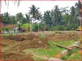 Dekat Bandara YIA, Tanah Jogja Bojong Kulon Progo