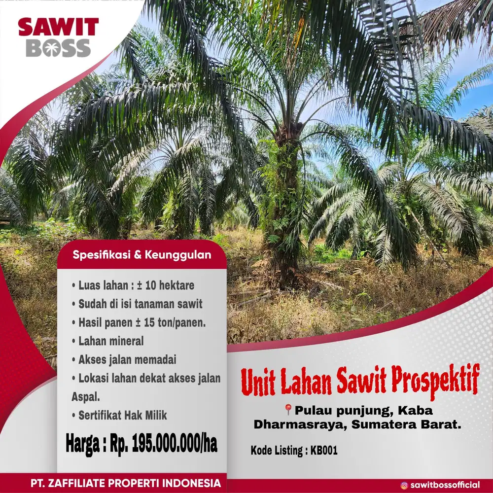 Jual lahan sawit di dharmasraya