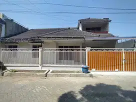 RUMAH KOS ADA BASEMENT AREA SUHAT 2 LANTAI