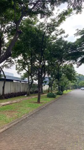 Di Jual Rumah Depark Cajaputi BSD Turun Harga
