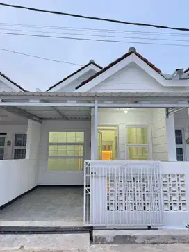 King Tanjung Sari