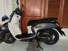 Scoopy Prestige Donat 2023 Pajak Hidup