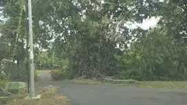 tanah luas -+131m2 lokasi barat pasar pakem jl kaliurang km 16