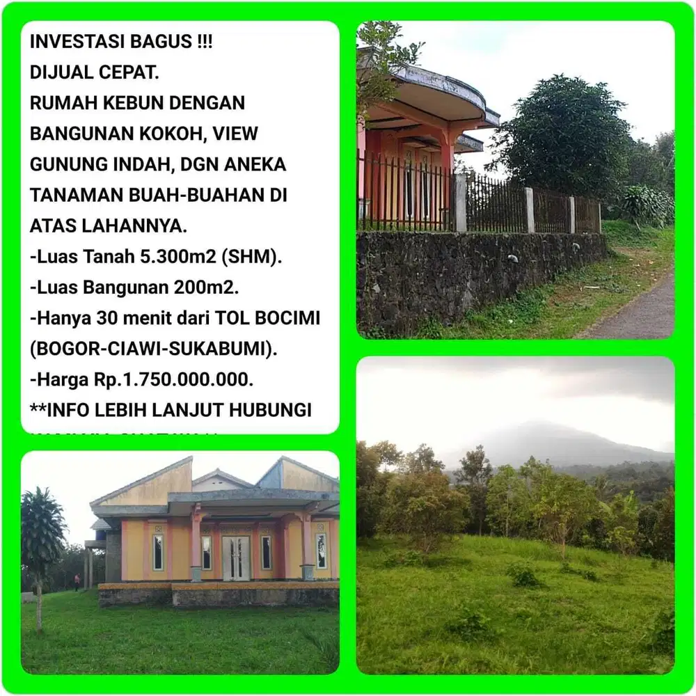 Villa Rumah kebun invest untung banyak buah dekat tol Bogor-Parungkuda