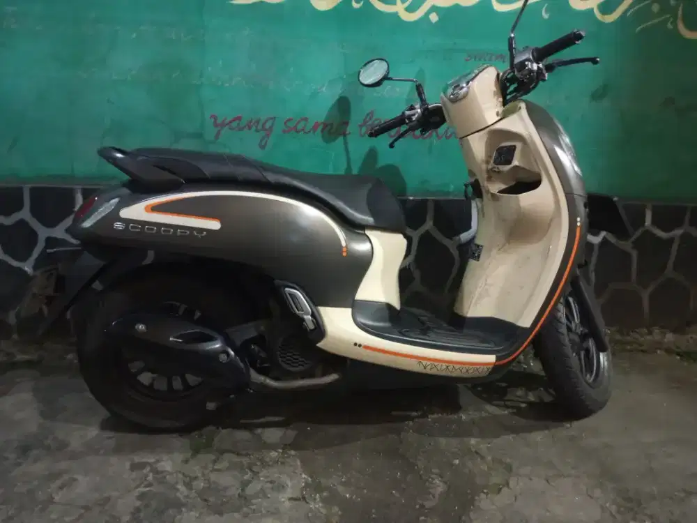 Scoopy fashion 2023