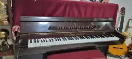 PIANO PEARL RIVER