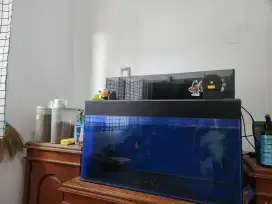 AKUARIUM + FILTER