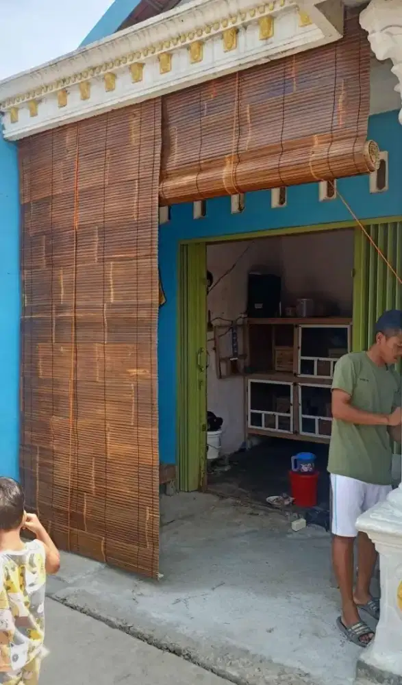 tirai bambu wulung hitam